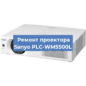 Замена поляризатора на проекторе Sanyo PLC-WM5500L в Ростове-на-Дону